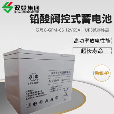 Shoto/6-GFM-65 Bleibatterie 12V65AH für Kommunikation und Speicherung von Solarenergie