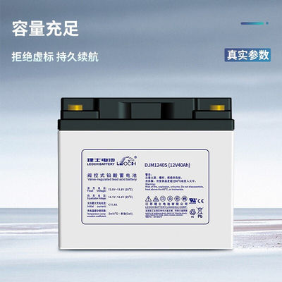 Leoch Batterie DJM1240S 12V40Ah Bleibatterie für Solarenergie Speicher-Stromsystem
