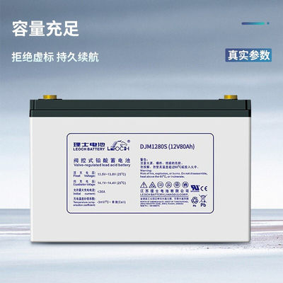 Leoch Batterie DJM1280S 12V80Ah für UPS Kommunikation Solarenergie Speicherung Stromsystem